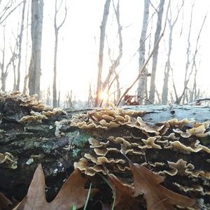 Meet your Posher, Bryan